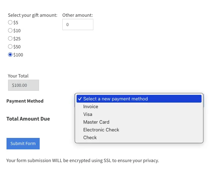 Payment form with secure processing