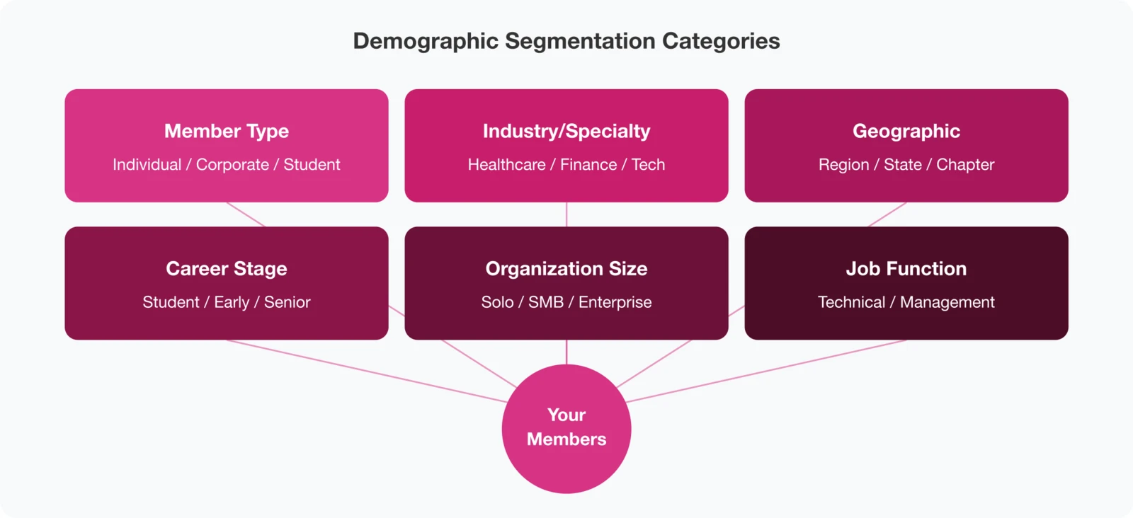 Demographic Segmentation Categories: Member Type, Industry/Specialty, Geographic, Career Stage, Organization Size.