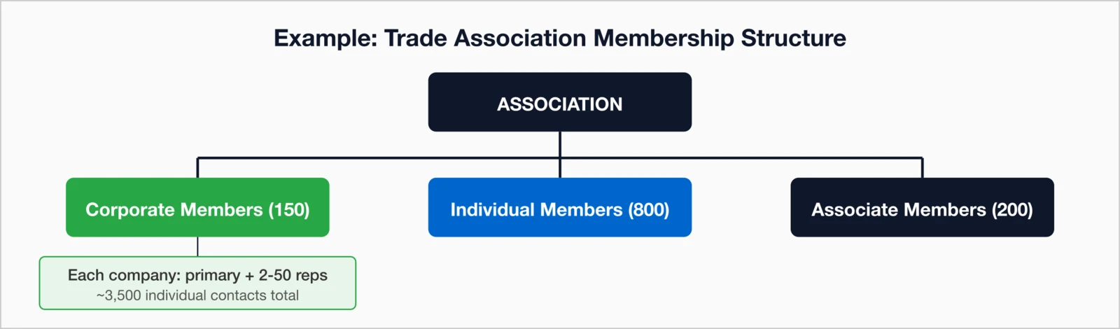 Trade Association Membership Structure: Association at top branching to Corporate Members (150).