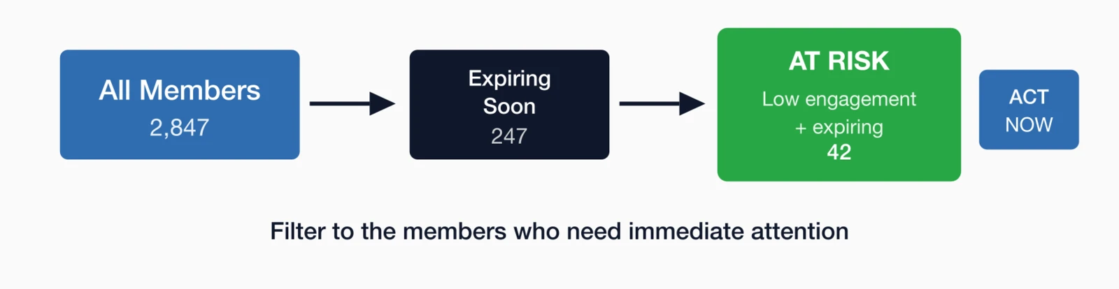 Retention funnel: All Members (2,847) filtered to Expiring Soon (247) then to At Risk with low engagement (42) requiring.