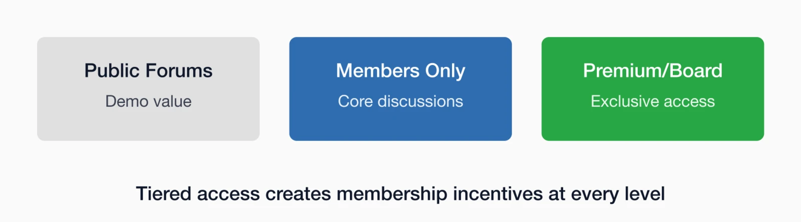 Forum access tiers: Public forums (demo value), members-only (core discussions), and premium/board (exclusive access).