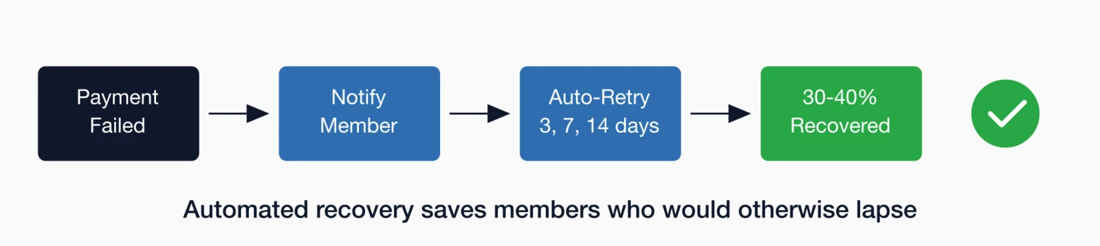 Failed payment recovery process: Payment failed leads to notify member, then auto-retry at 3, 7, and 14 days.