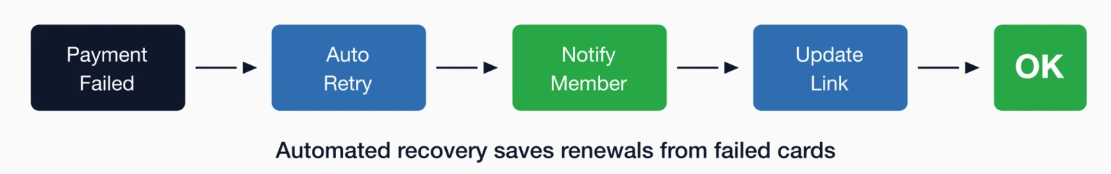 Failed payment recovery process: Payment Failed leads to Auto Retry, Notify Member, Update Link, and Recovery.