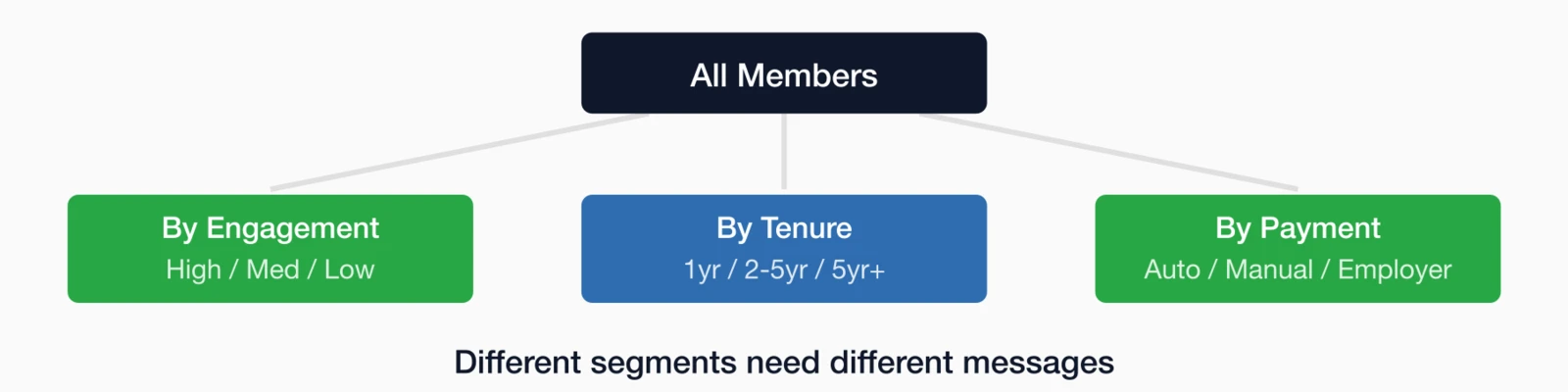 Member segmentation: All Members split into By Engagement (High/Med/Low), By Tenure (1yr/2-5yr/5yr+).