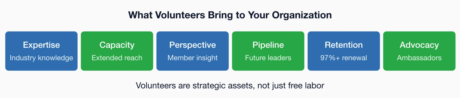 Diagram six strategic value areas volunteers bring: Expertise, Capacity, Perspective, Pipeline, Retention, and Advocacy.