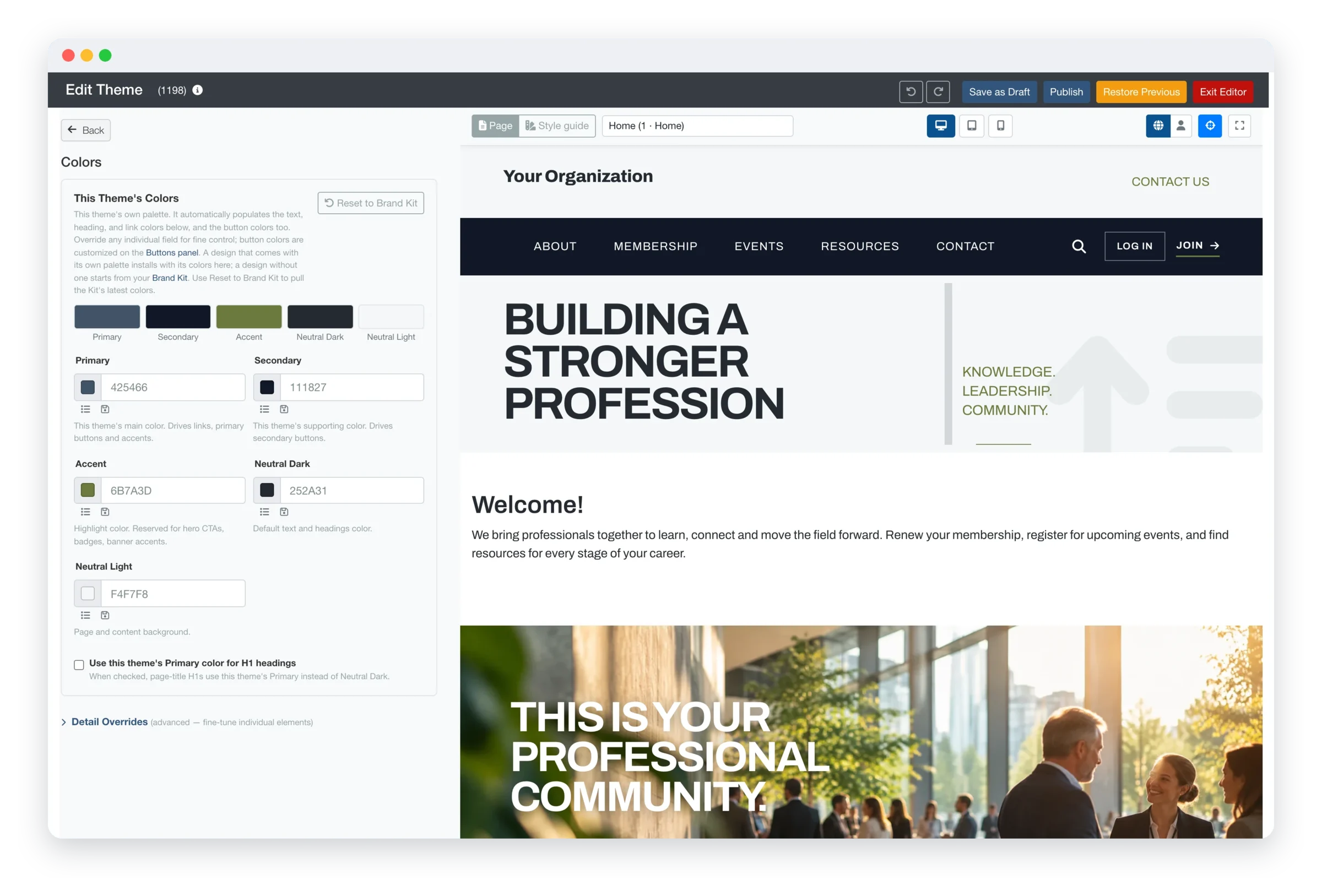 The Theme Manager editor with the Colors settings on the left and a live preview of the website on the right.